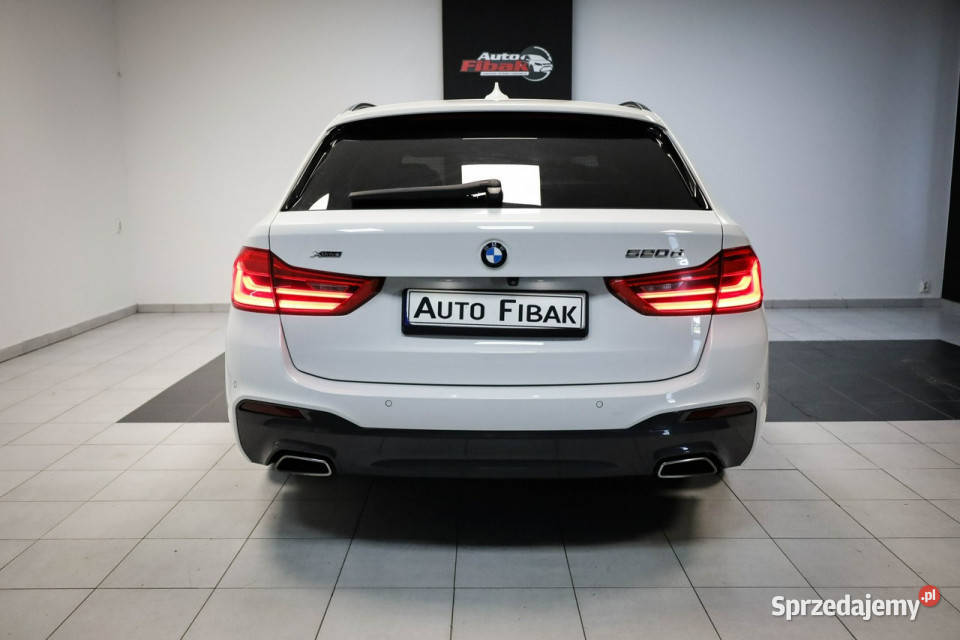 BMW 520 190xDriveMpakietSalon BMW