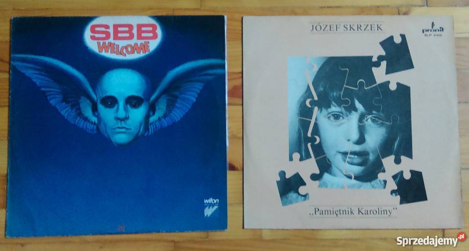 Płyty winylowe wyprzedaż kolekcji 1 płyta Płyty i kasety Kraków