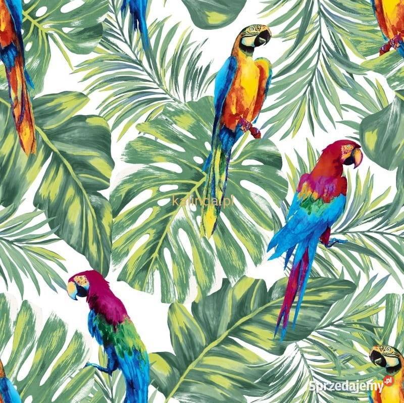 Papugi D56 tkanina obiciowa tapicerska velvet