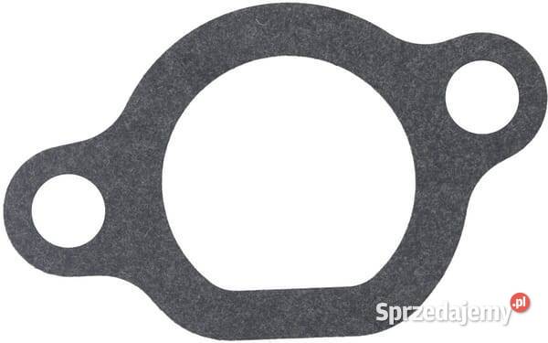 Uszczelka gaźnika 1704301650001 Kamionna