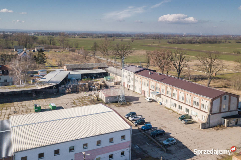 wynajmu lokalu 3000m2 Cedry Wielkie M Wynajem pomorskie