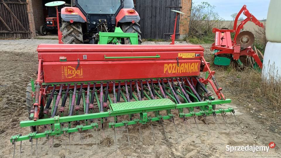 Siewnik poznaniak