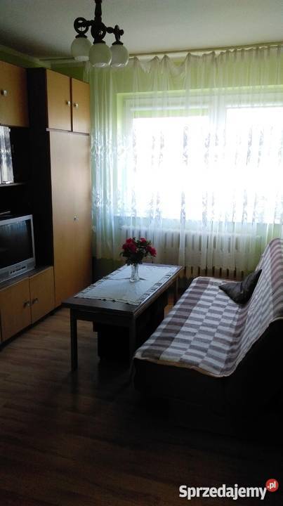 Sprzedam dom jeziorem piwnica