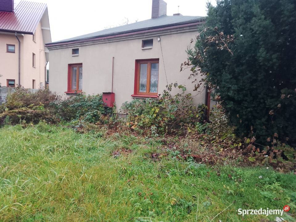 Dom w Bełchatowie Najtaniej Bełchatów