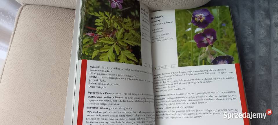 Atlas roślin pienińskich Rok wydania 2012 Pozostałe małopolskie Kraków