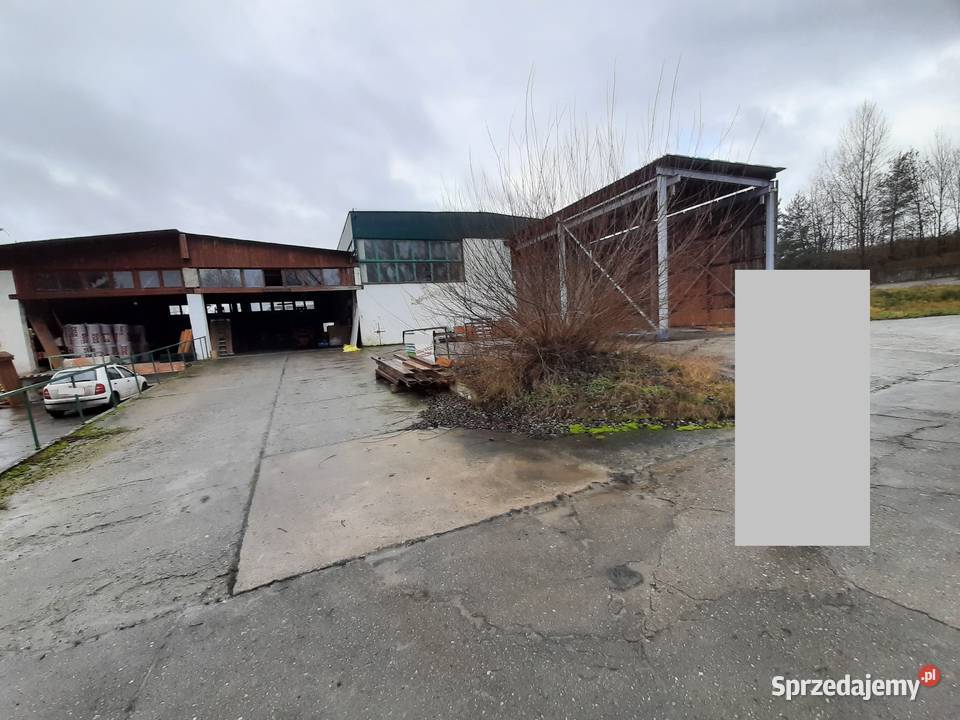 Wynajmę halę produkcyjnomagazynową w Krośnie Krosno Odrzańskie