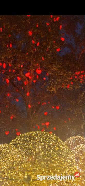 Karty Anielskie Human Design Energoterapia