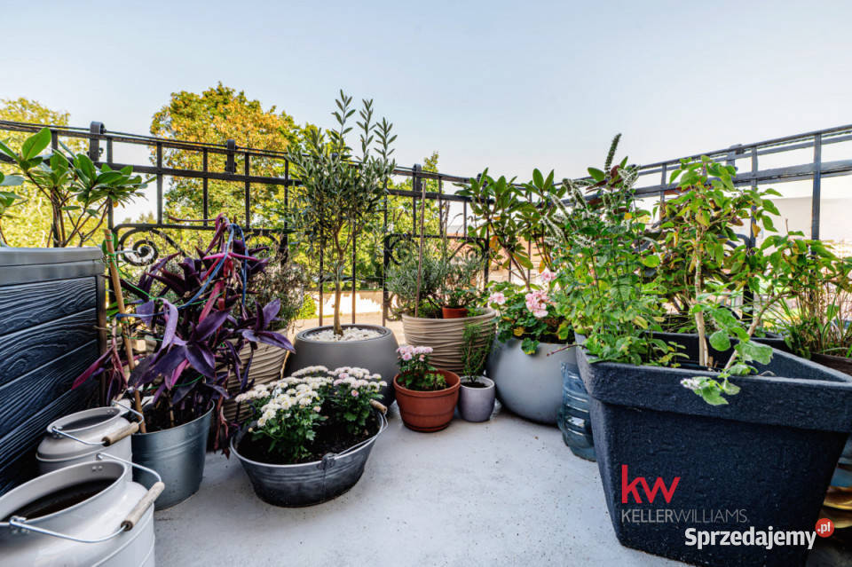 Mieszkanie 115m 4 pokoje Poznań Główna sprzedam