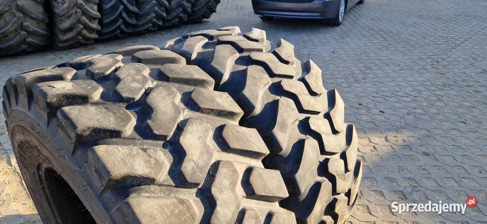 50070r24 5007024 195LR24 195L24 4607024 46070r24