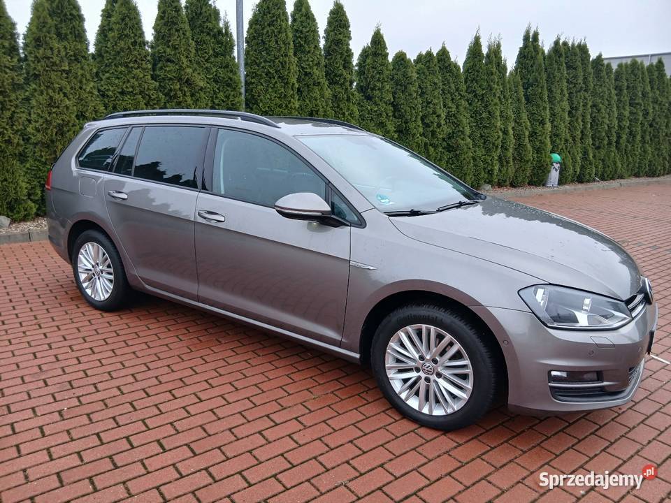 VW Golf 7 CUP wersja z Niemiec Kajew