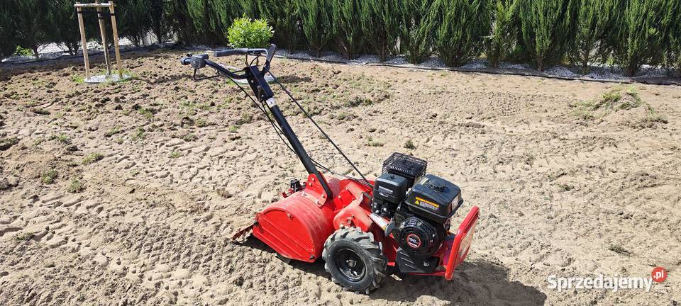 Wynajem profesjonalnego Wertykulatora Weibang świętokrzyskie Bieliny