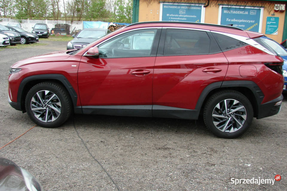 Hyundai Tucson 16 TGDI 48V 2WD 7DCT 150 IV 2020 Piła sprzedam