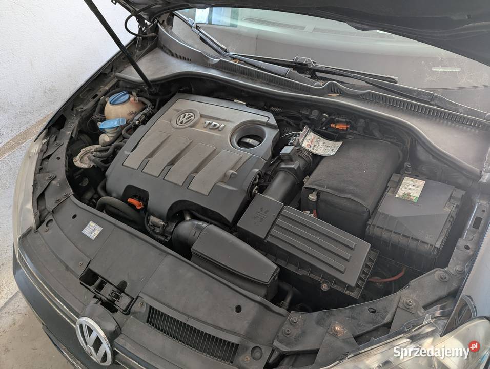 Volkswagen Golf VI 16 TDI 105 Highline 2010 Golf Volkswagen