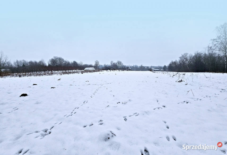 Drewniany dom z dużą działką pole sad las Karczmiska Pierwsze