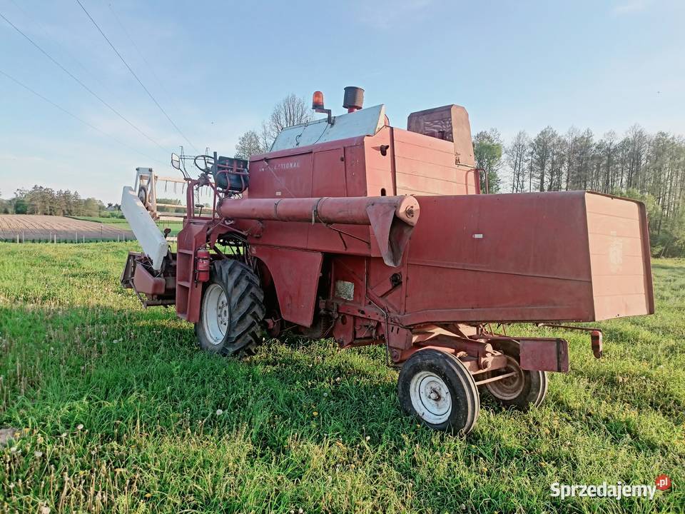 Sprzedam kombajn international 321 Świedziebnia