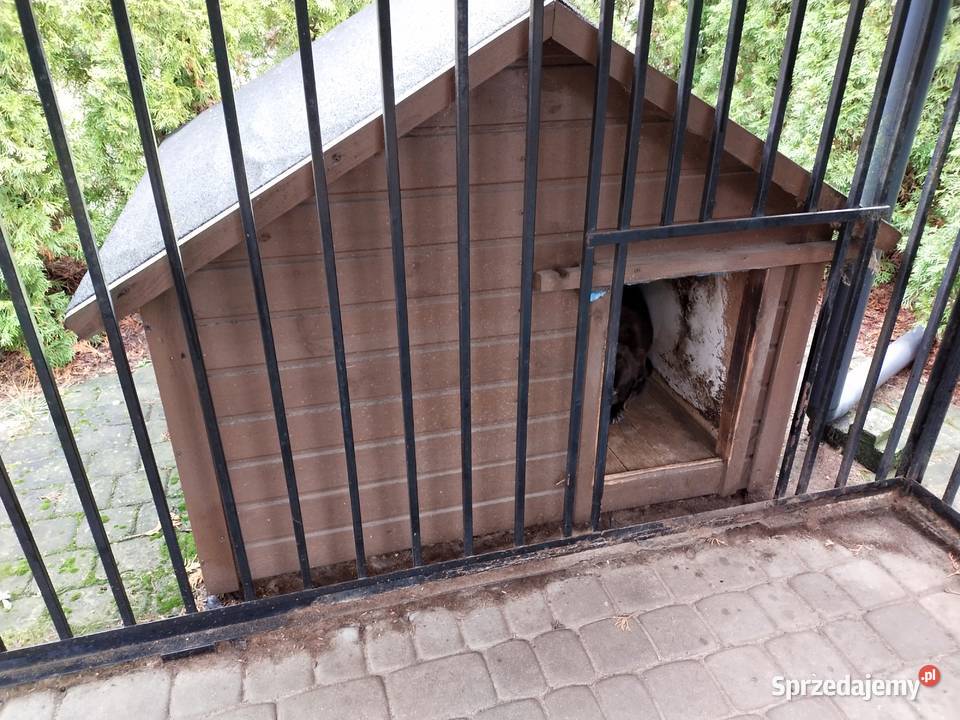 Duży zadaszony kojec z dużą ocieplaną budą Bydgoszcz