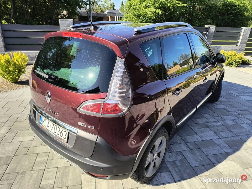 xmod 15dci Scenic Białobrzegi sprzedam