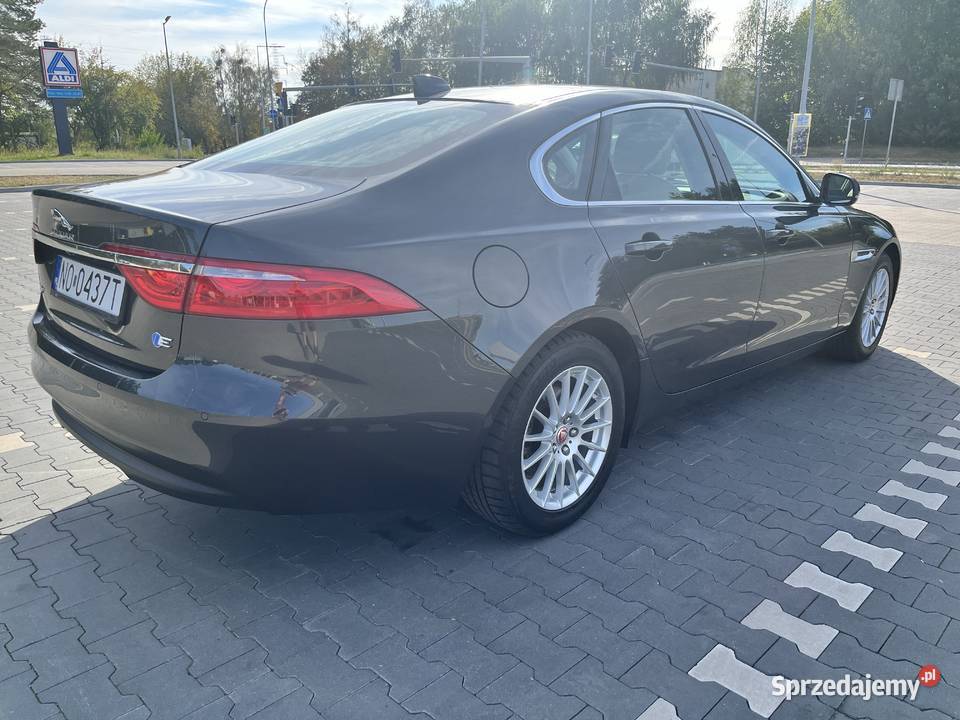 Jaguar XF 2017 zadbany