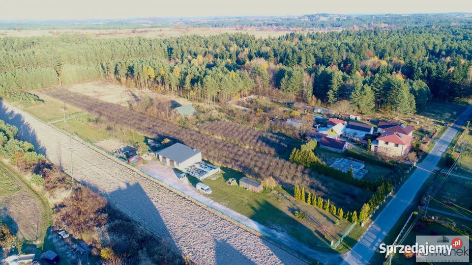 Działka 1289 metrów Samsonówka sprzedam