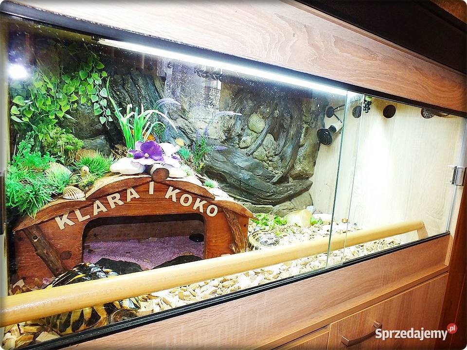 Duże Terrarium z szafką 2 Żółwie Grecki i lubuskie Lubsko sprzedam