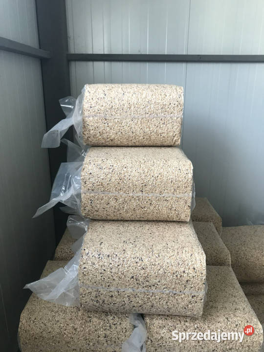 Jadro orzecha laskowego 1315 mm Gruzja Białystok