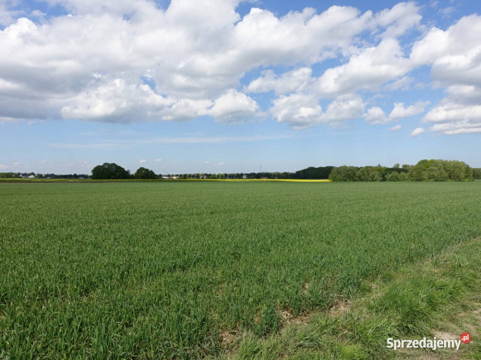 Skoczów Pruchna 115ha w samym centrum z prawem asfalt sprzedam