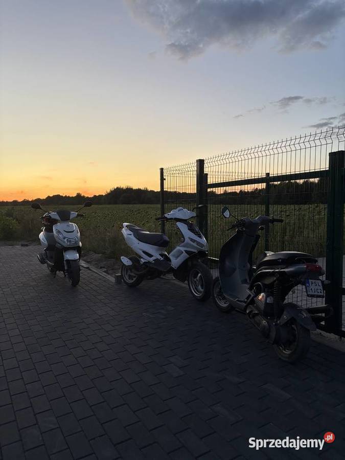 Peugeot speedfight 2 wielkopolskie