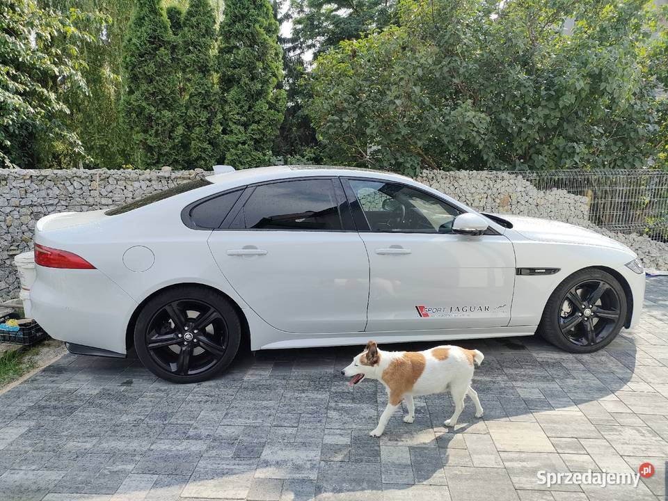 Sprzedam Jaguara XF RSport 300 łopatki zmiany biegów Wrocław