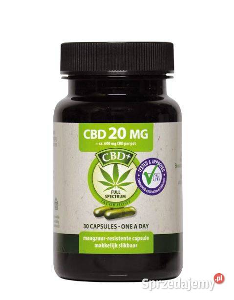 Jacob Hooy CBD 20mg 30 Kapsułek Łódź