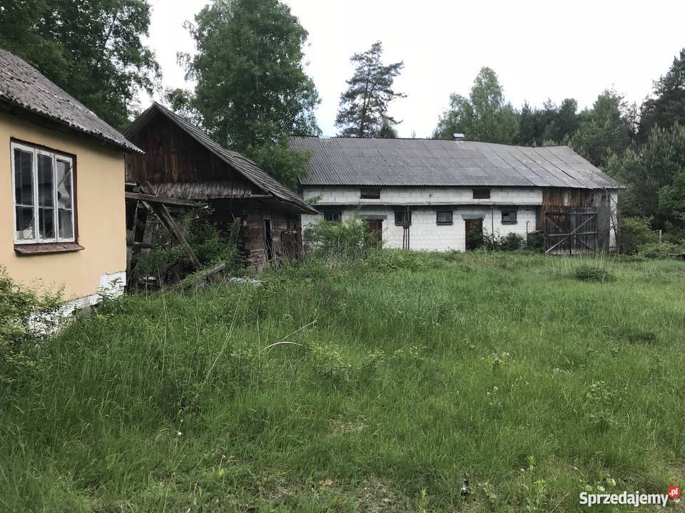 Siedlisko ma roztoczu Czarny Las-Kolonia