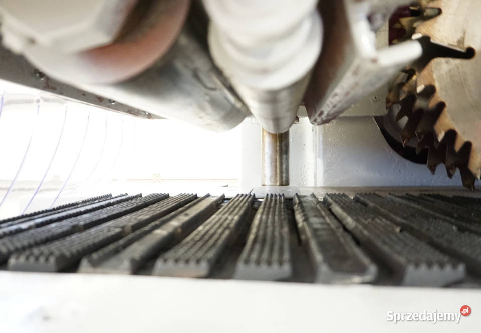 Wielopiła gąsienicowa RAIMANN KS310 340120 Sierakowice