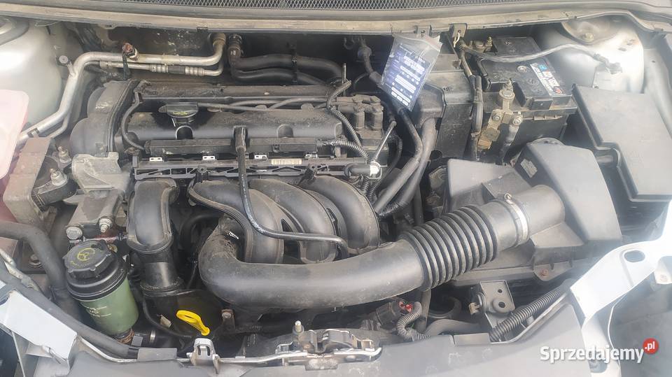 Ford Focus Mk2 16 2006r na części Samochody na części wielkopolskie