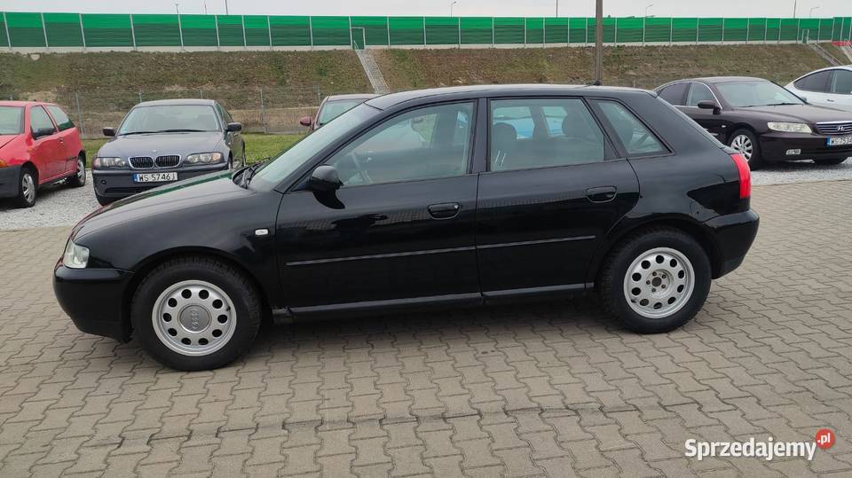 Audi A3 8L 16 Benzyna 2001 r Polift Zadbane do mazowieckie Siedlce