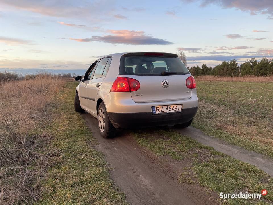 Volkswagen Golf V Comfortline 20 TDI sprowadzony Przeworsk