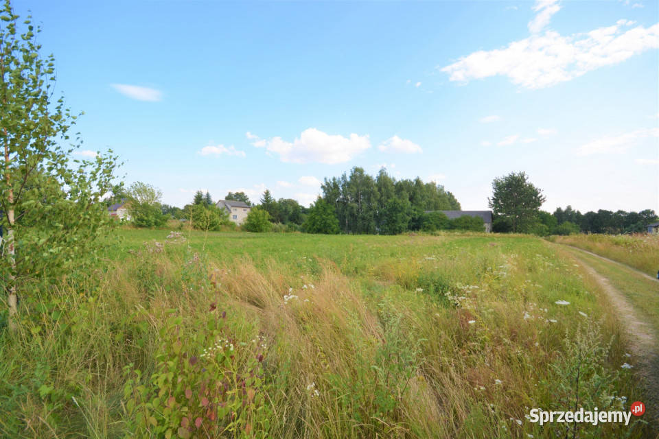 Działka Boniewo 1594m2 Sprzedaż