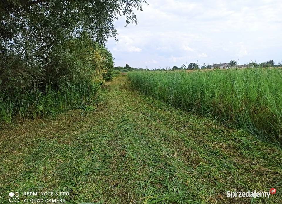 Mulczer kosiarka bijakowa Seppi M 155 Szerokości nieuszkodzony Maszyny zielonkowe lubelskie
