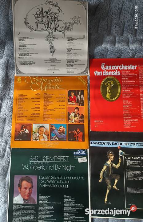 9 albumów winylowych ze standardami światowej pop