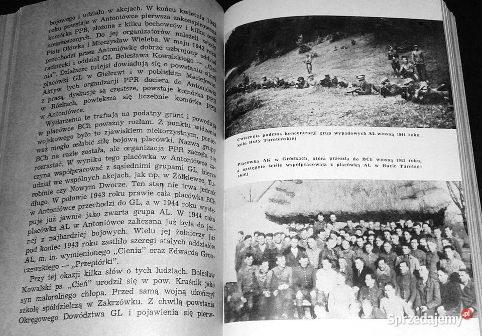 Czerwone opłotki Stanisław Lisik Pozostałe Chełm