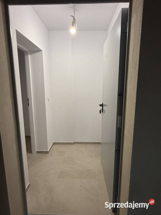 Do wynajęcia mieszkanie w ścisłym centrum Kraków sprzedam
