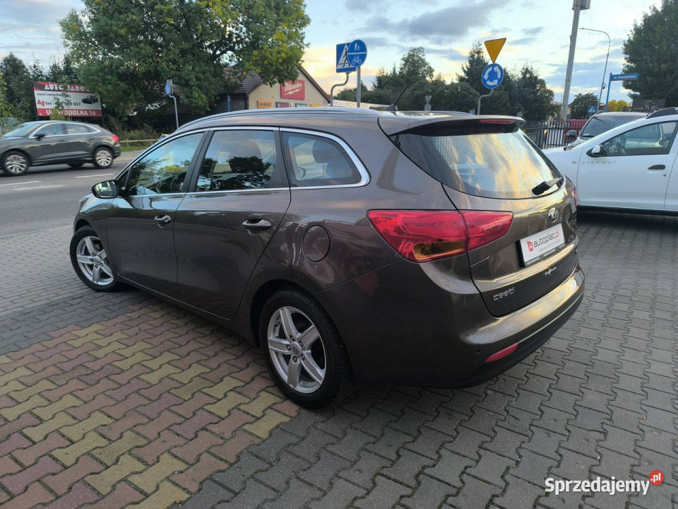 Kia Ceed 16 CRDi 128 Klimatyzacja OPŁACONY II Kia lubelskie Łuków