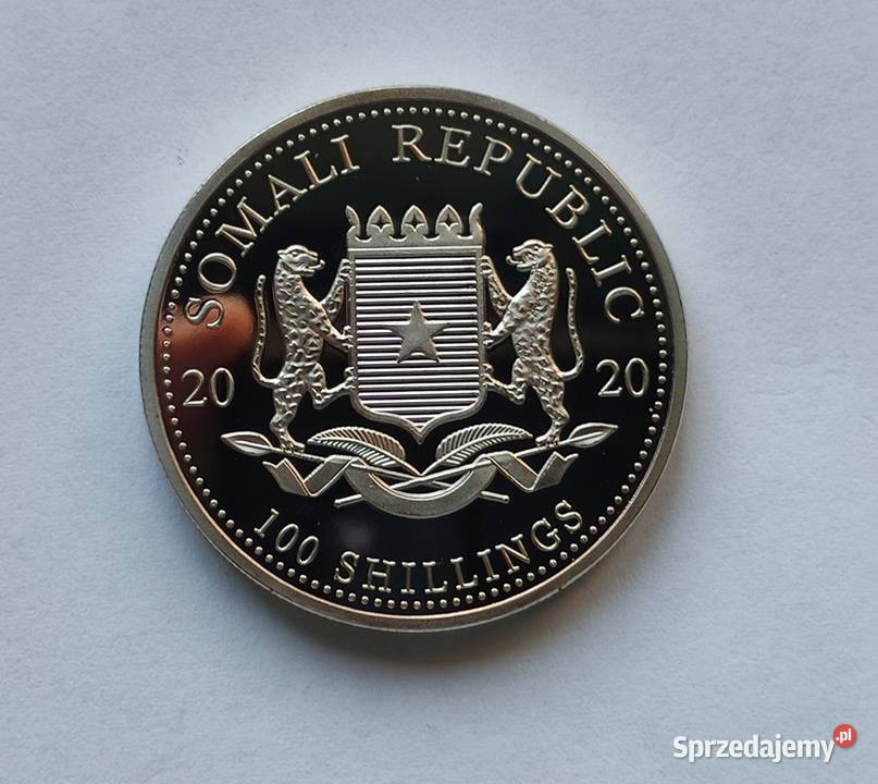 Moneta SOMALIA 100 SHILLINGS 2020 SŁONIE Pruszków