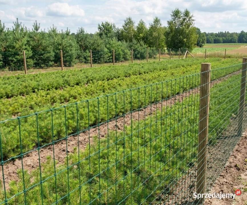 Siatka leśna powlekana OC PCV ogrodzeniowa Poznań