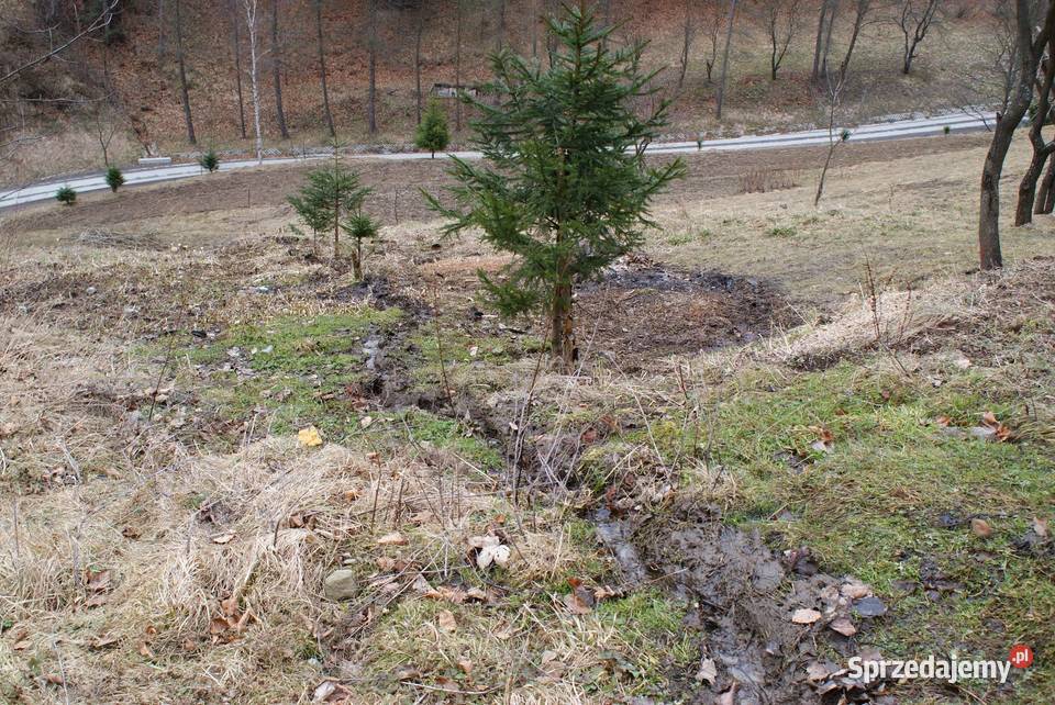 Działka w górach Idealne miejsce na wyciszenie Obidza