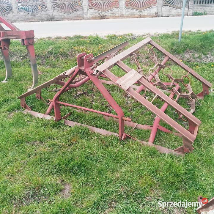 Włóka polowa Piątek