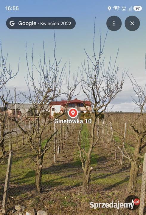 Sprzedam sad kanalizacja mazowieckie Ginetówka sprzedam