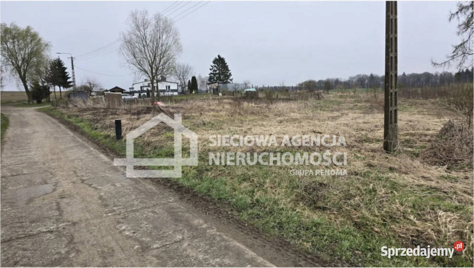 Działka 3249 metrów Cygusy 100zł/m2 pomorskie