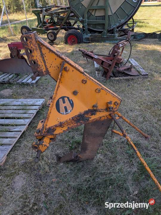 Głębosz Huard Pozostałe Goszczanowiec