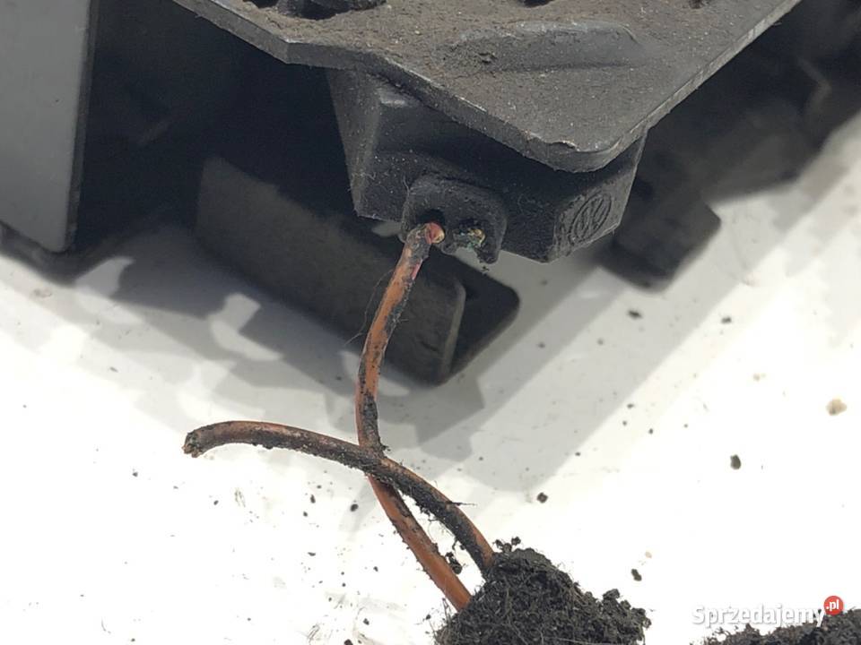 ZAMEK MASKI PRZÓD VW PASSAT B8 Kombi 5G1823509C sprzedam