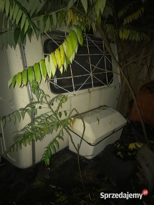 Przyczepa kamping N126 Bydgoszcz