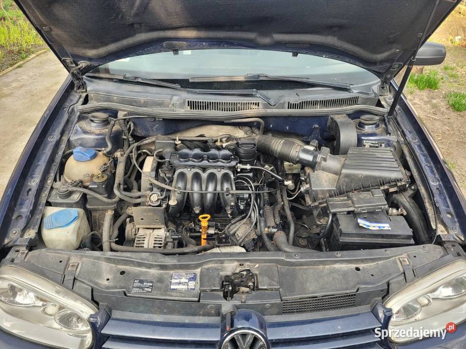 Syndyk sprzeda Volkswagen Golf IV Rok produkcji 1999 Szczecin